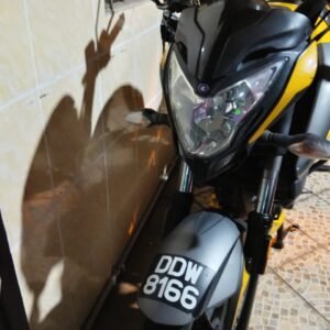 MODENAS PULSAR NS200 , 2020, DDW8166